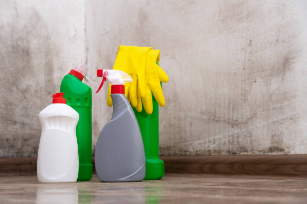 Mold Odor Removal Services in Bishop, TX